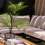 Studio On The Palm