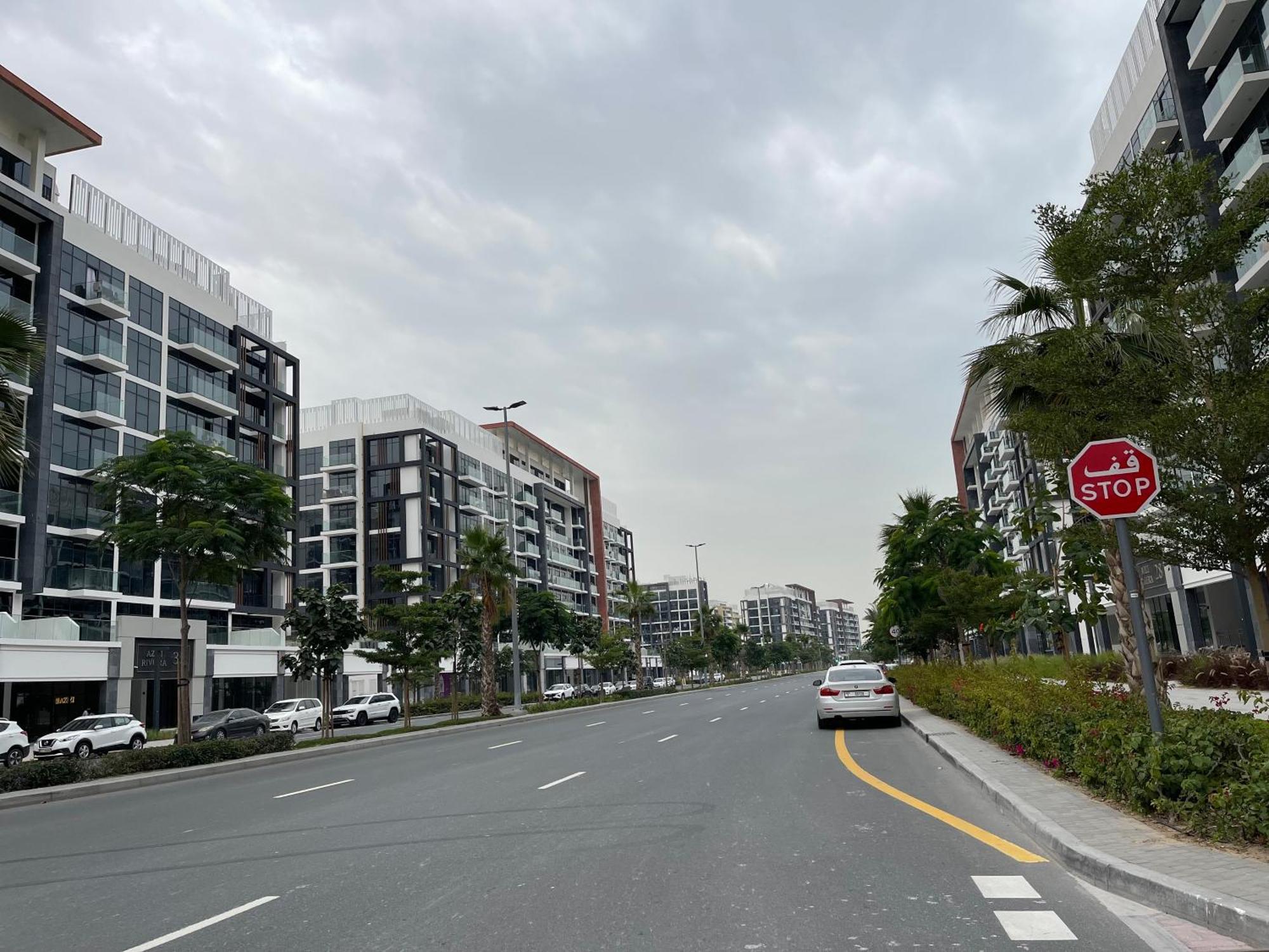 Ashri Homes Standard In Riviera With Pool View Apartment *