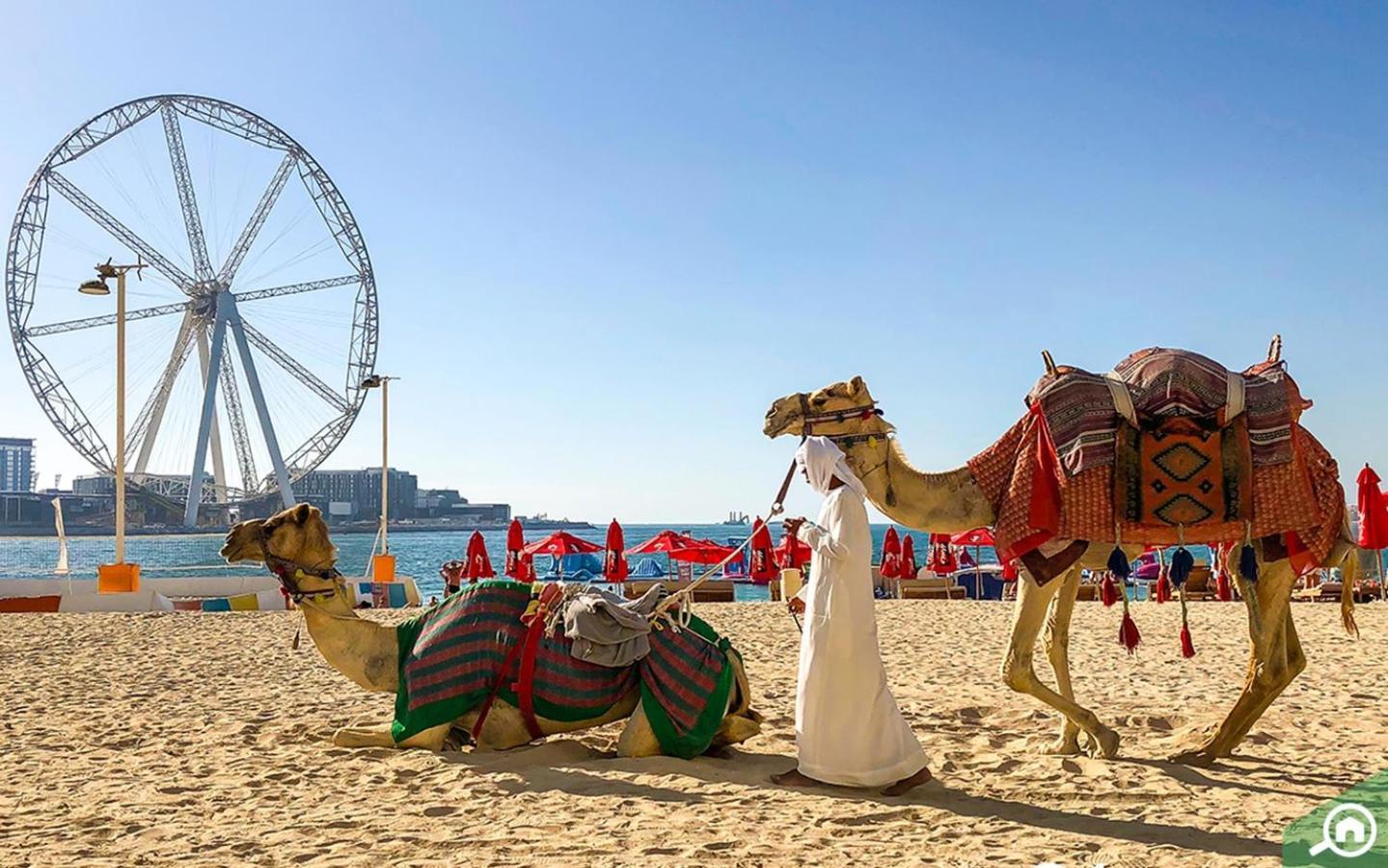Bahar On Jbr By Happy Season Dubai