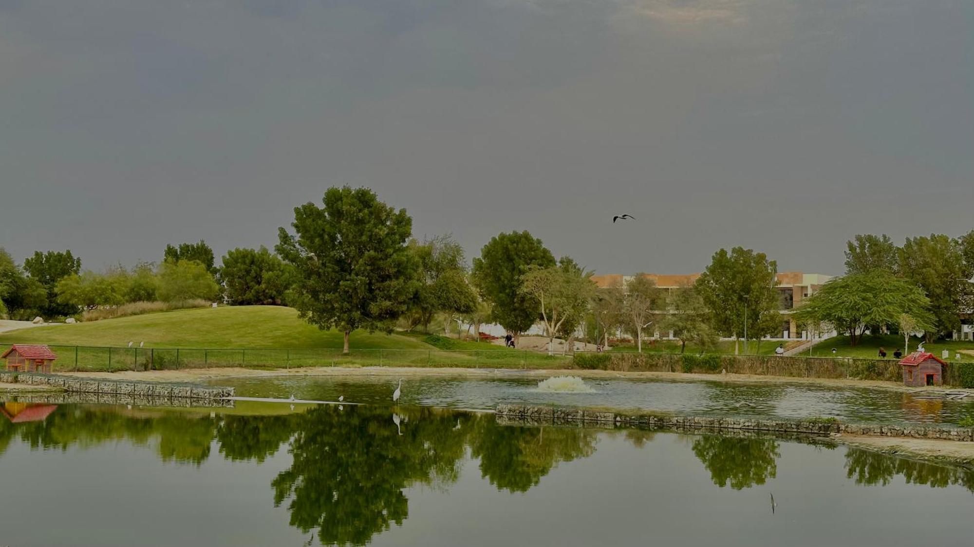 Serene Escape And Stunning Views In Damac Hills 1 By Bhavan