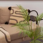 Studio On The Palm