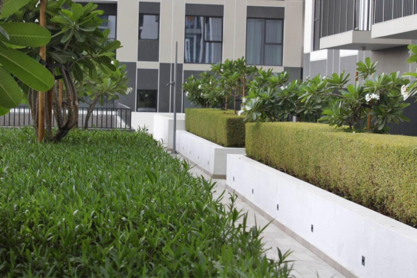 Luxury 2br In Hills With Full Park View Apartment *