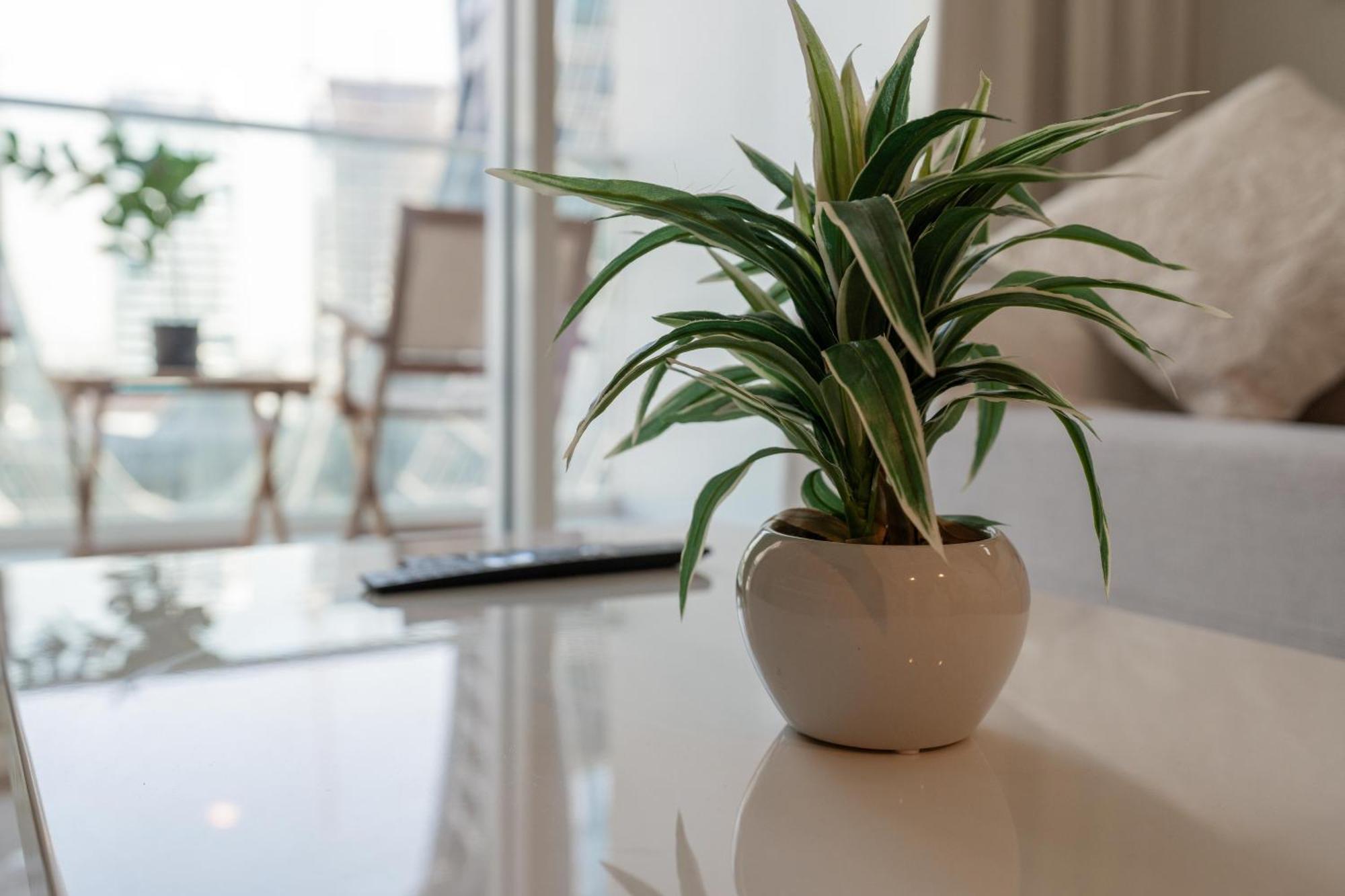 Fascinating 1 Bedroom At Vera Dubai