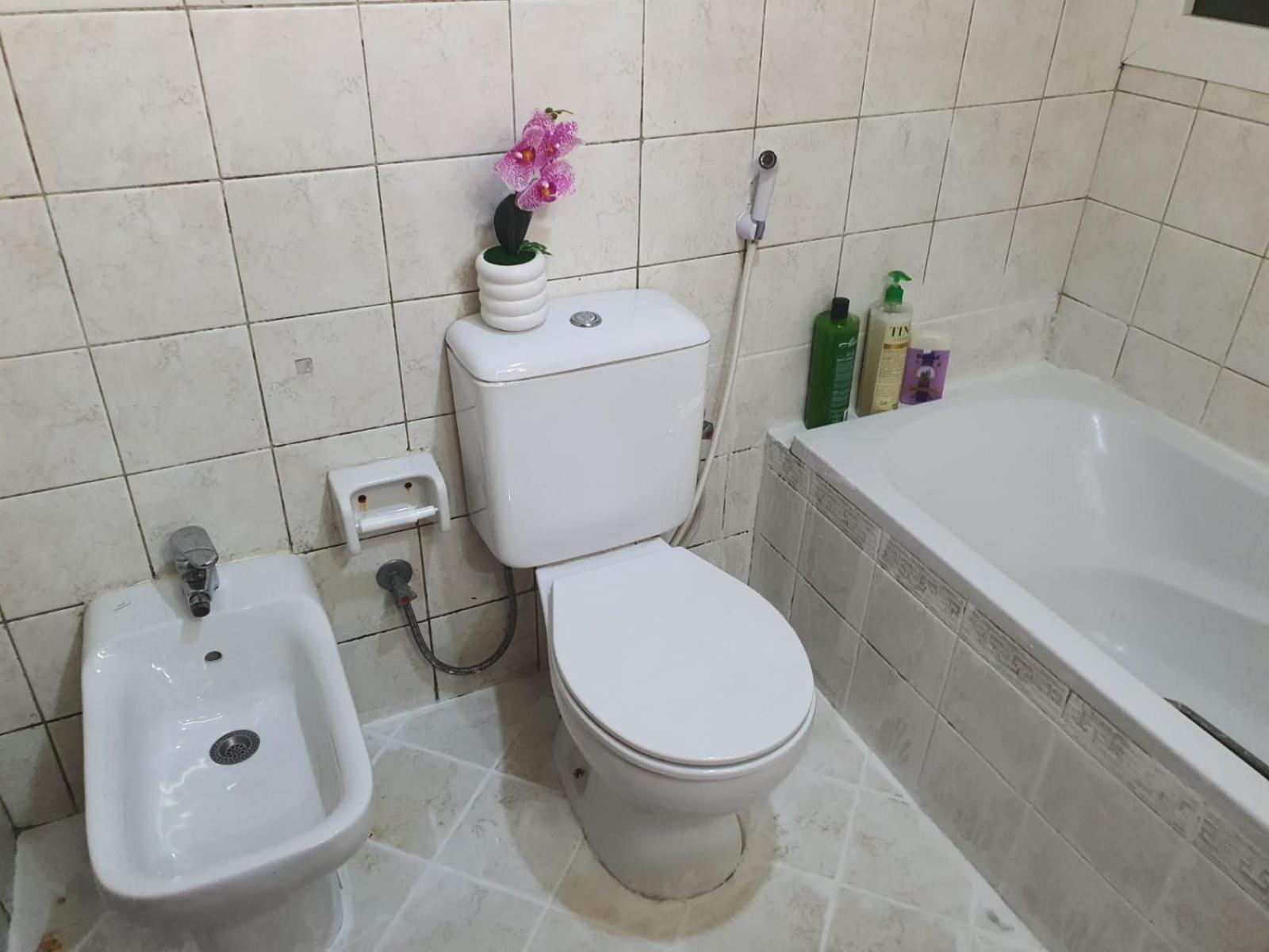 Apartment For Ladies Only *